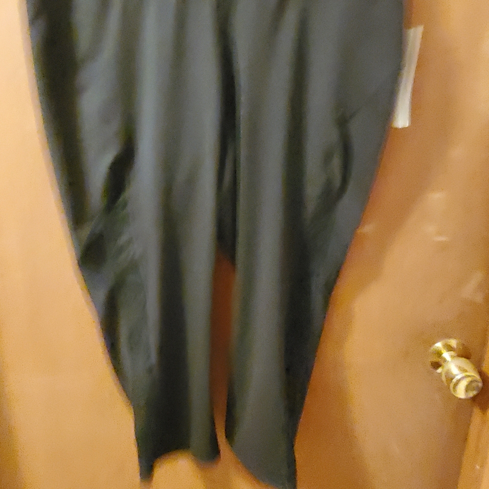 Capris - Picture 3 of 3